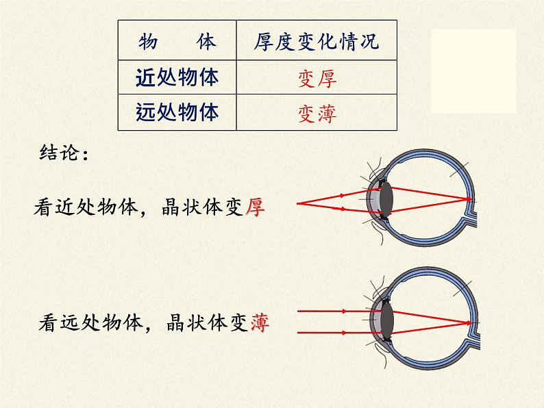 教科版八年级物理上册 4.6 神奇的眼睛 课件08