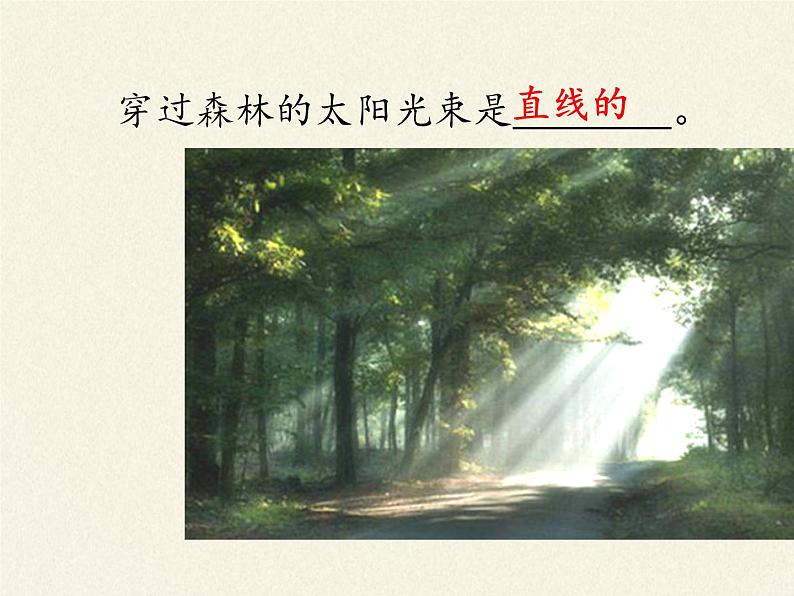 教科版八年级物理上册 4.1 光源 光的传播(1) 课件第5页