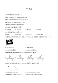 初中第六章 力和运动第三节 重  力课时训练