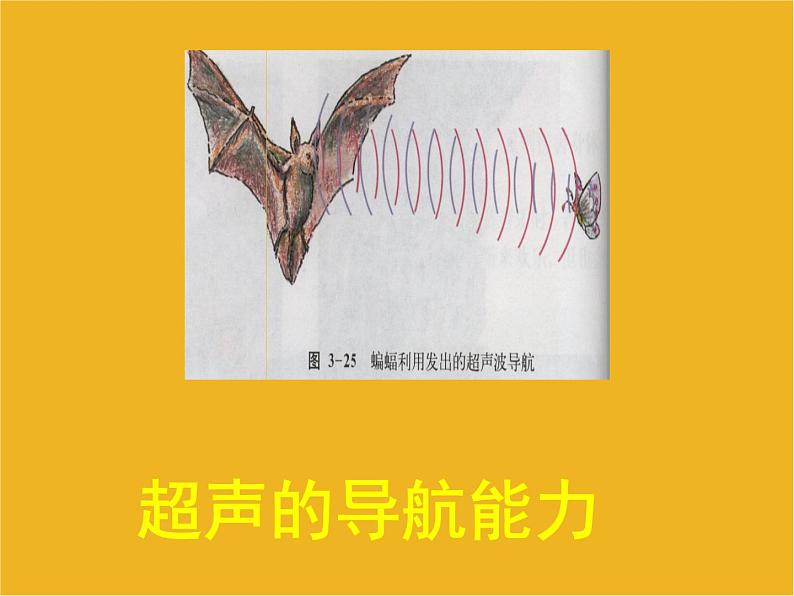 3.3 超声与次声课件05