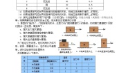 初中物理教科版八年级上册3 活动：降落伞比赛当堂达标检测题