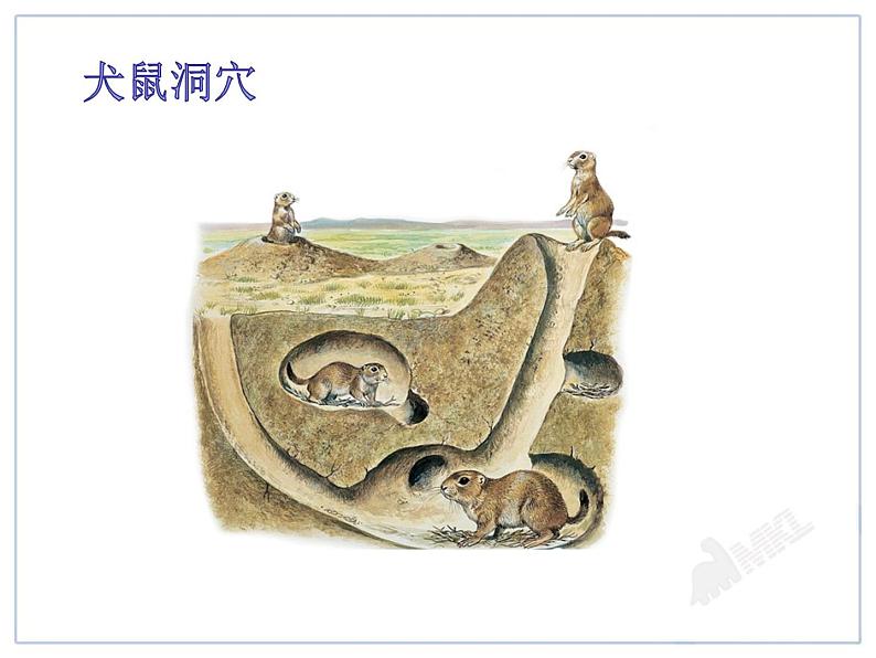 初中物理人教版八年级下册 第4节流体压强与流速的关系 课件第2页