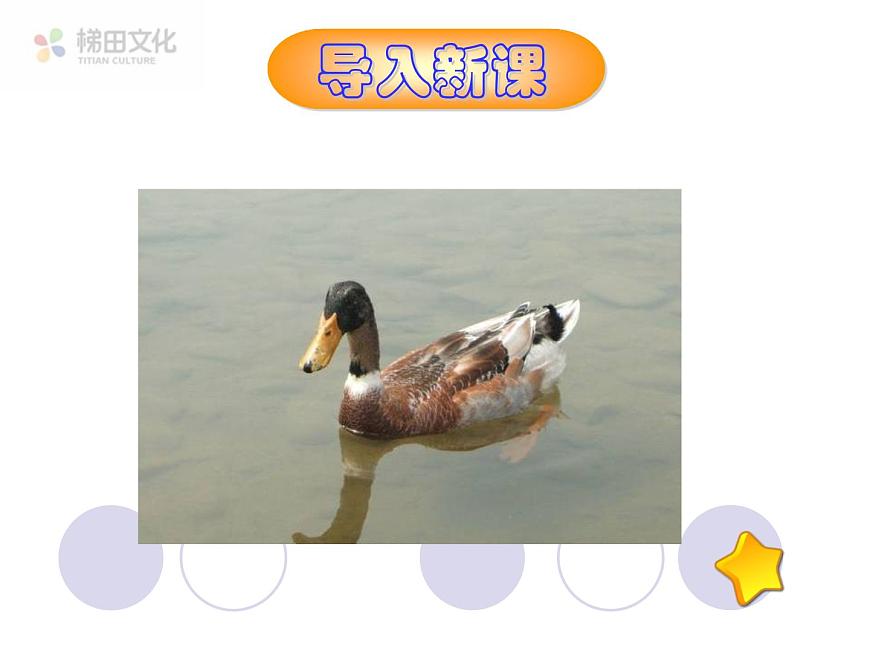 初中物理人教版八年級下冊 第1節(jié)浮力3 課件第2頁