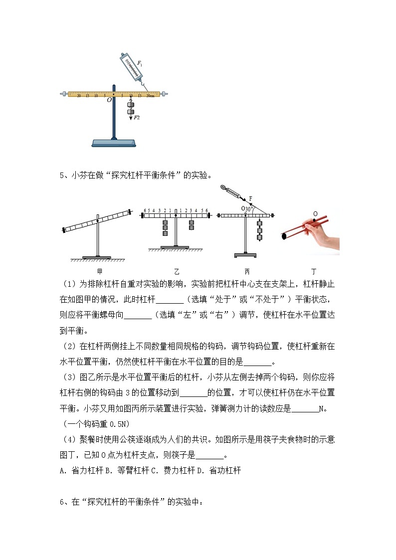 2022年中考物理復(fù)習(xí)能力訓(xùn)練4-杠桿平衡探究實(shí)驗(yàn)第3頁