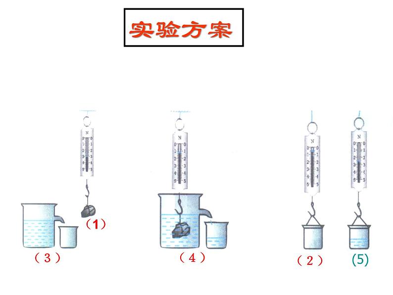 粤教版八年级下册物理 9.2 阿基米德原理 课件第5页