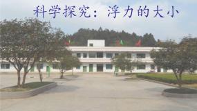 初中物理教科版八年级下册3 科学探究：浮力的大小图文课件ppt