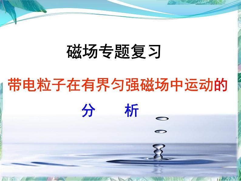 物理专题复习 磁场专题复习课件第1页