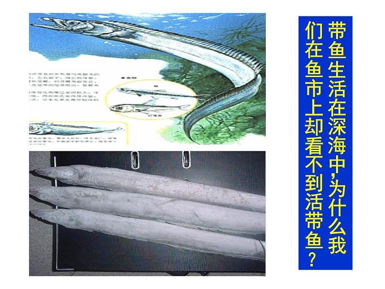 教科版八下物理 9.2 液体的压强 课件第2页