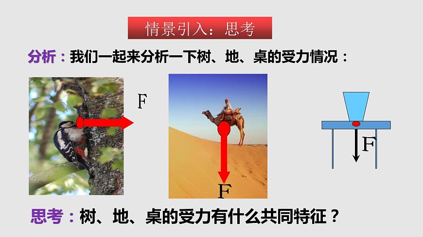 10-1壓強（課件）八年級物理下冊同步精品備課（蘇科版）第3頁