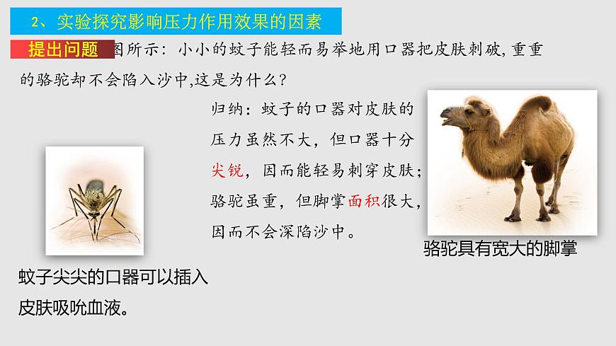 10-1壓強（課件）八年級物理下冊同步精品備課（蘇科版）第7頁