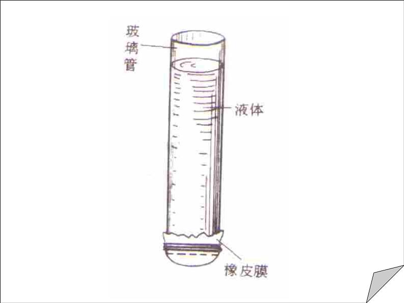 沪粤版八下物理 8.2 研究液体的压强 课件第7页