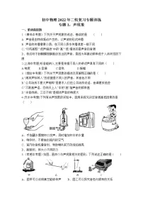 2022年中考物理二轮复习专题训练专题:声现象