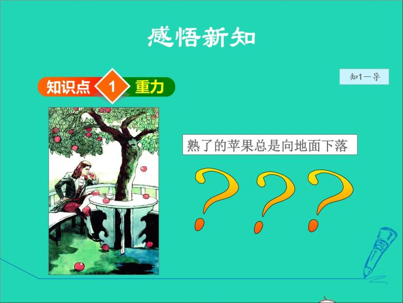 2021秋八年级物理全册第6章熟悉而陌生的力第4节来自地球的力第1课时重力的大小授课课件新版沪科版06