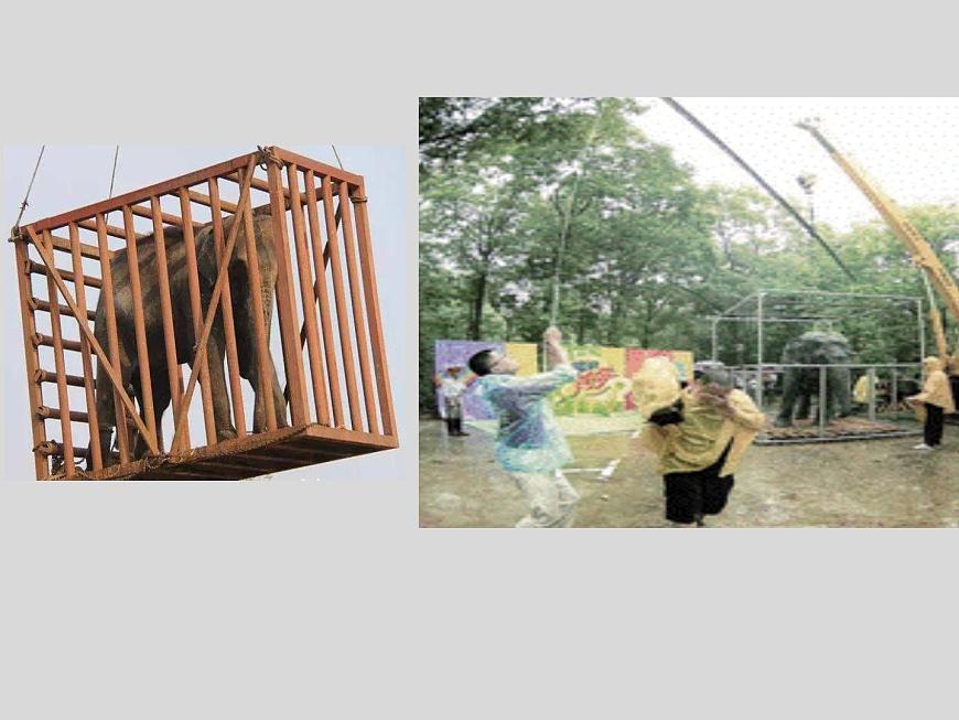 初中物理滬教課標(biāo)版八年級下冊《科學(xué)探究：杠桿的平衡條件》部優(yōu)課件第2頁
