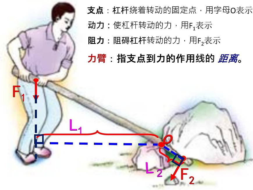 初中物理滬教課標(biāo)版八年級下冊《科學(xué)探究：杠桿的平衡條件》部優(yōu)課件第5頁