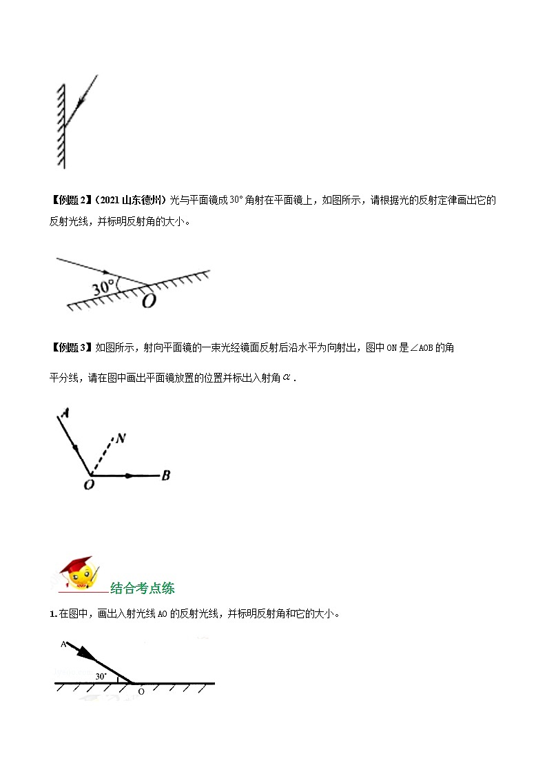 专题01 利用光的反射定律的作图题(原卷版)第2页