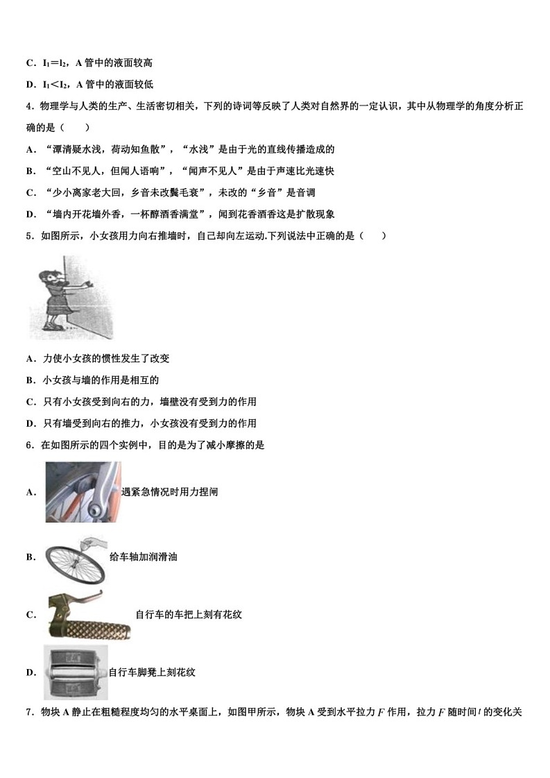 2022學(xué)年河北省石家莊市辛集市中考二模物理試題(含答案解析)第2頁