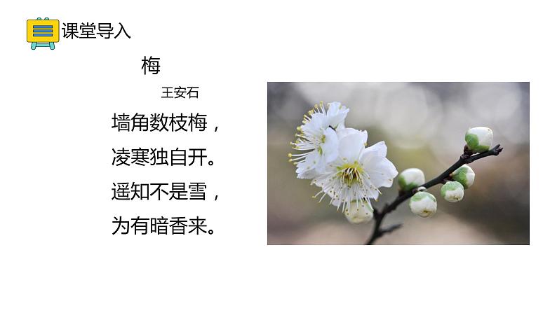 13.1 分子热运动(33张)-人教版物理九年级全一册课件02
