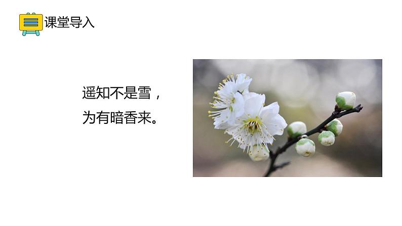 13.1 分子热运动(33张)-人教版物理九年级全一册课件03