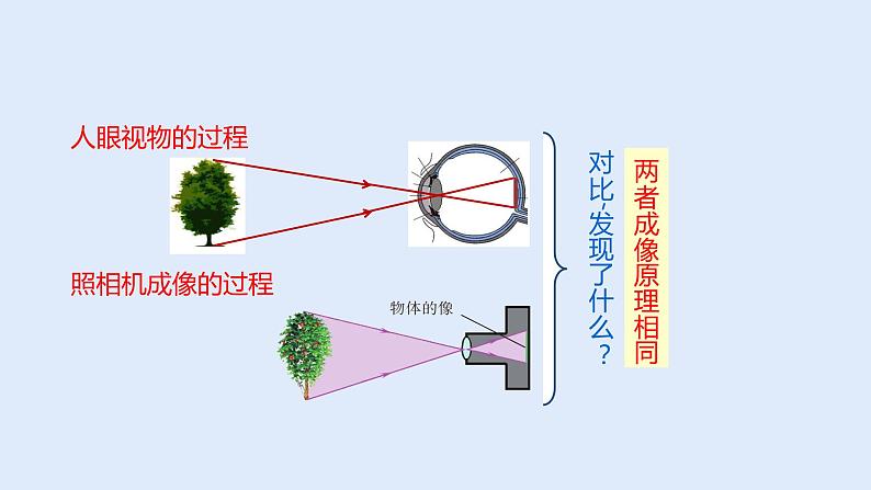 人教版八年级物理上册 5.4眼睛和眼镜 课件第4页