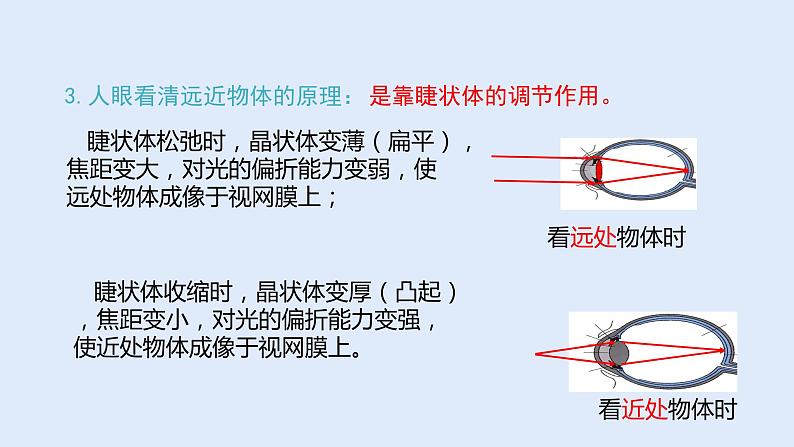 人教版八年级物理上册 5.4眼睛和眼镜 课件第6页