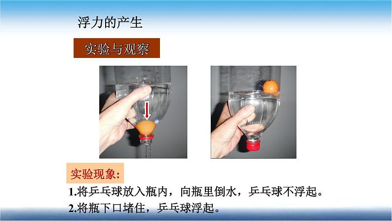 人教版物理复习精讲 第十讲 浮力 课件第8页