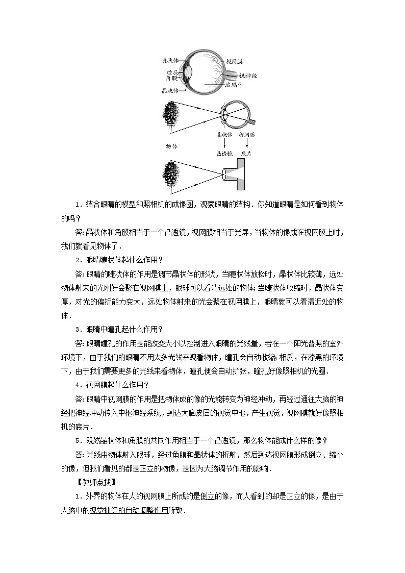 2022新人教版八年级物理上册第5章第4节眼睛和眼镜教案第2页