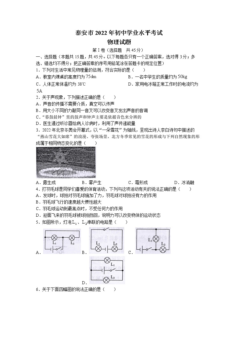 2022年山东省泰安市中考物理真题试卷(无答案)01
