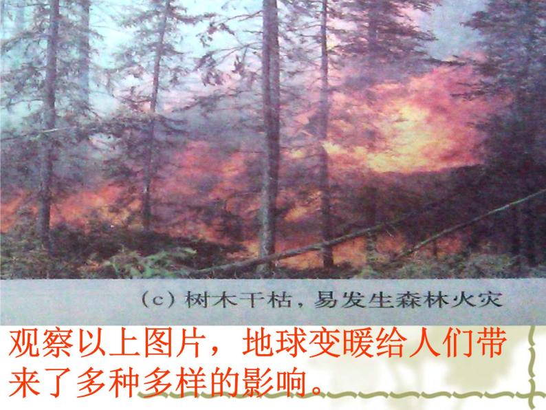 沪粤版初中物理八年级上册4.1从全球变暖谈起课件04