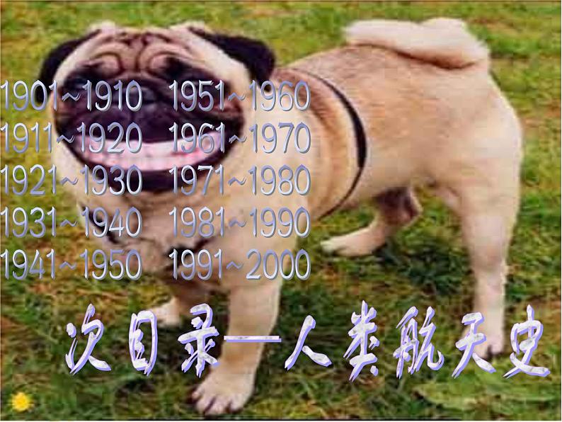 粤教沪科初中物理八下《10.4-飞出地球》PPT课件-(4)第6页