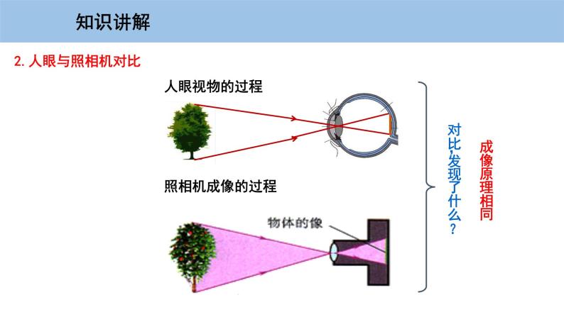 3.7 眼睛与光学仪器-粤沪版物理八年级上册（课件+素材）05