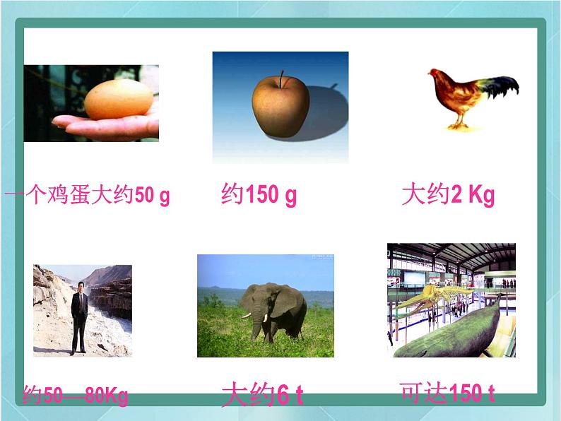 京改版八年级全册 物理 课件 2.1质量及测量(32张)07