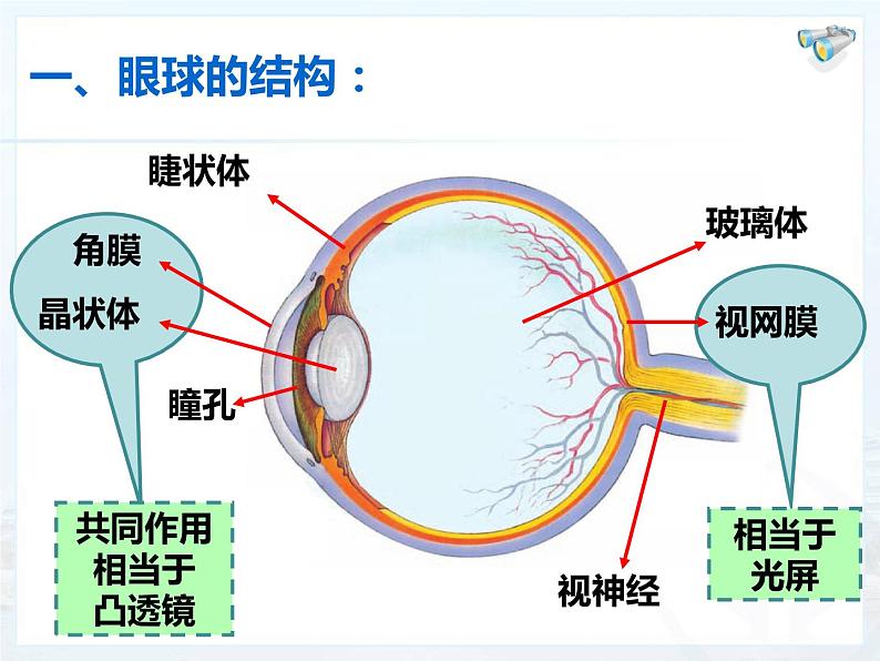人教版物理《眼睛和眼镜》课件第2页