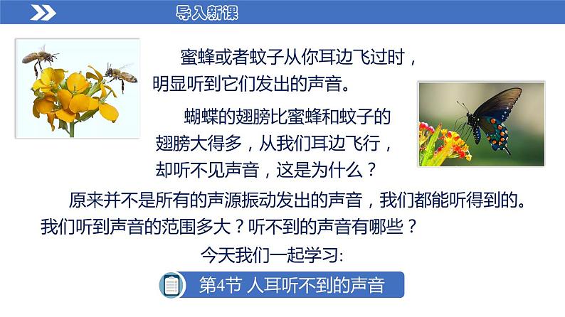 苏科版八上物理1.4 人耳听不到的声音 PPT课件+内嵌式实验视频03