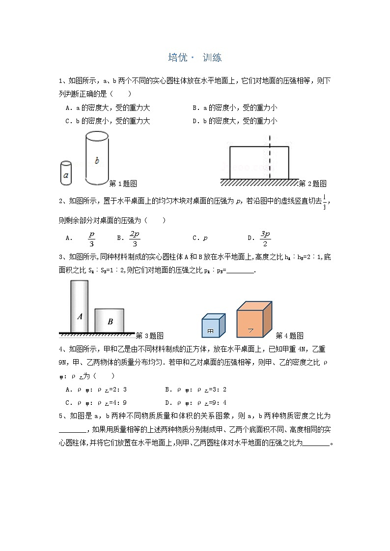 2024年通用物理中考微专题-压强-9-1 均匀柱体的压强计算与判断第3页
