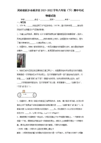 河南省新乡市延津县2021-2022学年八年级(下)期中考试物理试题(word版含答案)