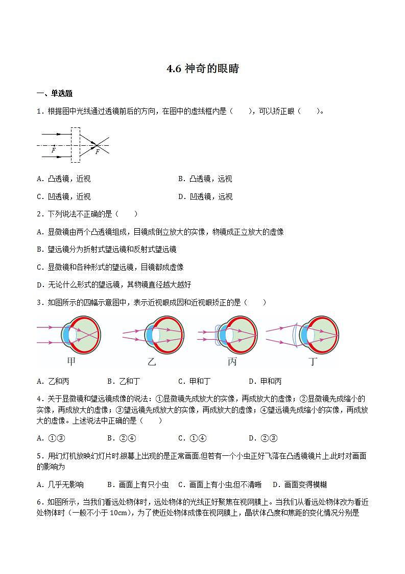 4.6 神奇的眼睛(备作业)(原卷版)第1页