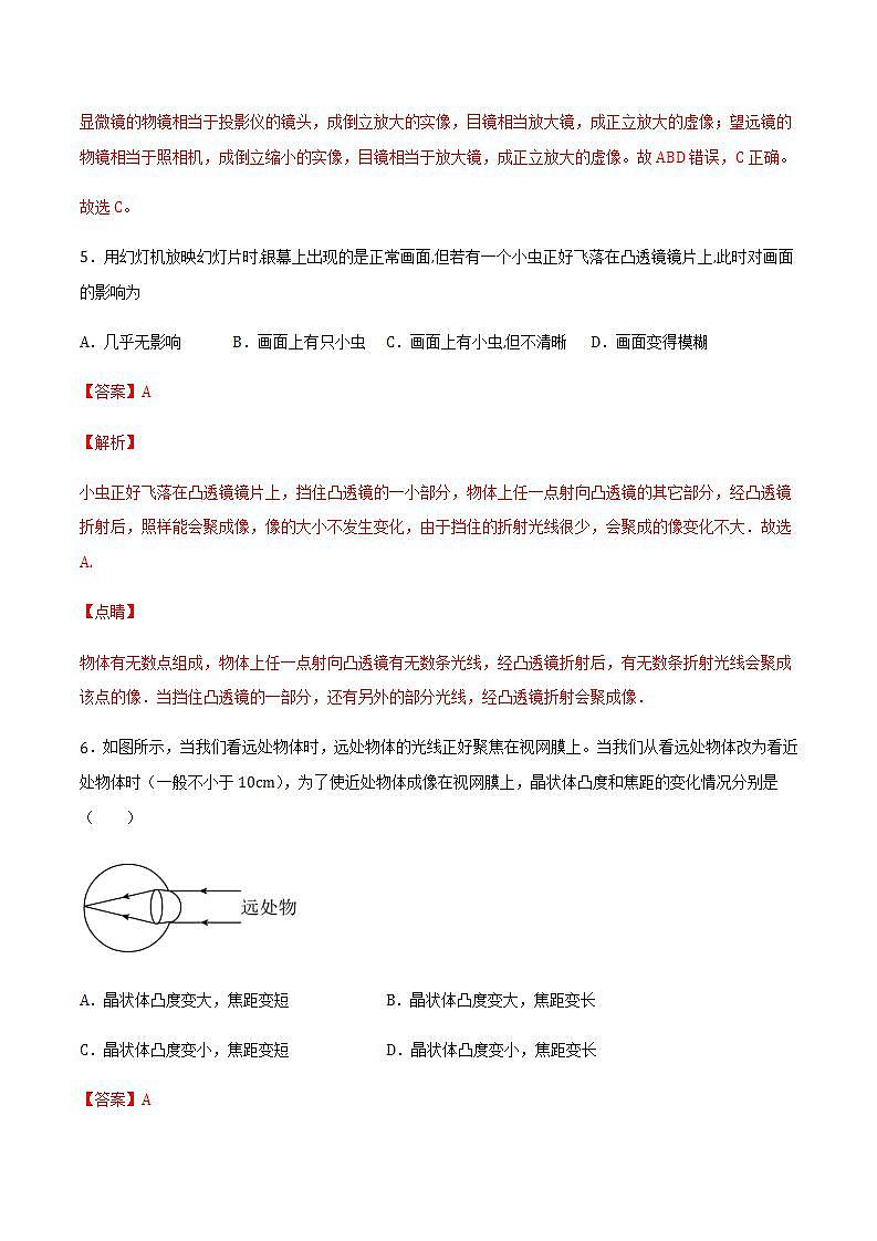 4.6 神奇的眼睛(备作业)(解析版)第3页