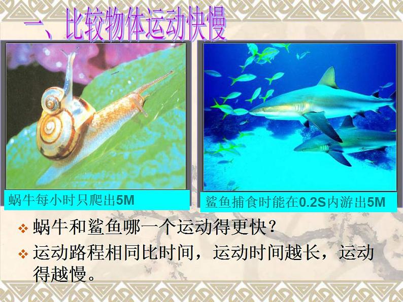 2.3测量物体运动的速度 课件 教科版八年级物理上册第4页