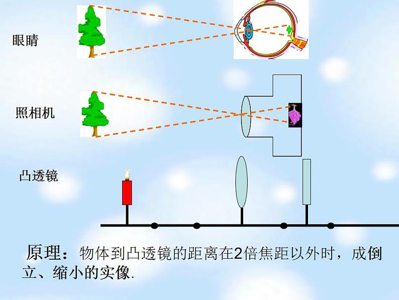 4.6 神奇的眼睛 课件 教科版八年级物理上册第3页