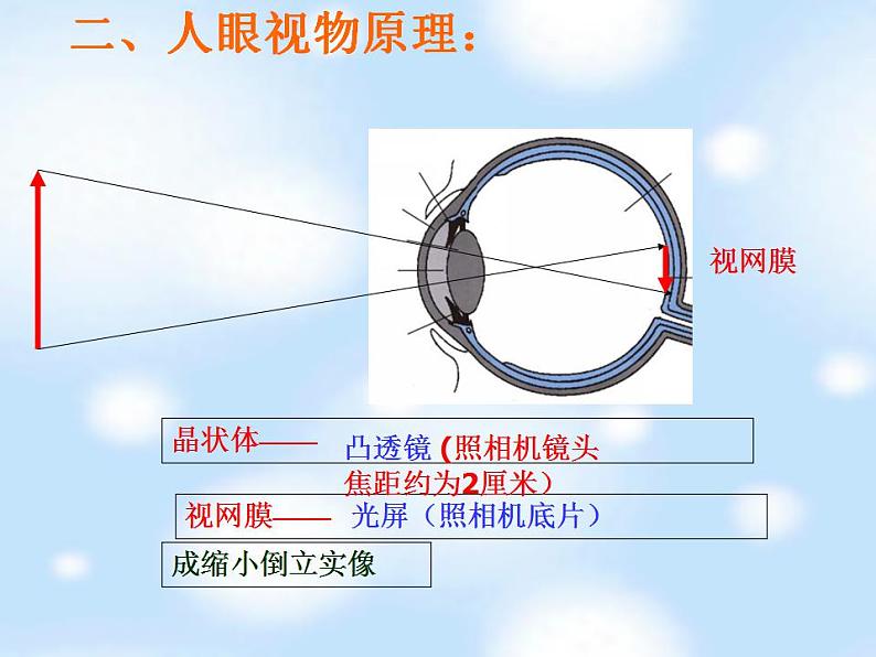 4.6 神奇的眼睛 课件 教科版八年级物理上册第4页