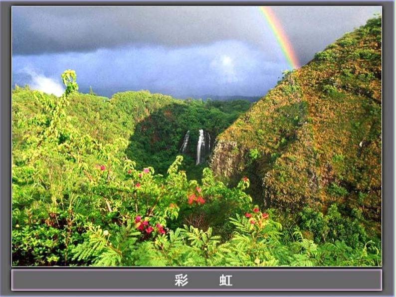 4.8走进彩色世界 课件 教科版八年级物理上册第4页