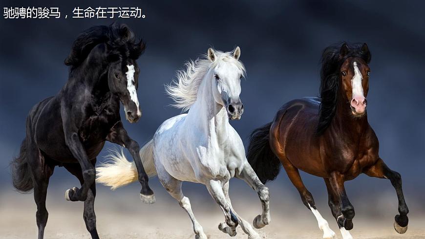 2.1動與靜課件   2022-2023學(xué)年滬科版八年級全一冊物理（共19張PPT）第5頁
