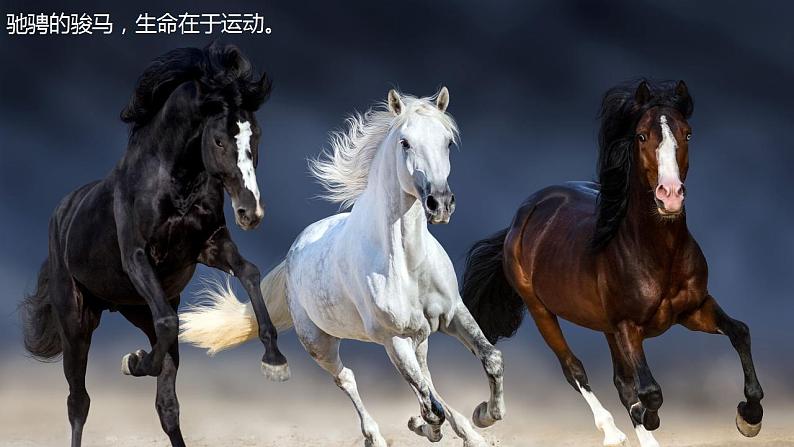 2.1动与静课件 2022-2023学年沪科版八年级全一册物理(共19张PPT)第5页