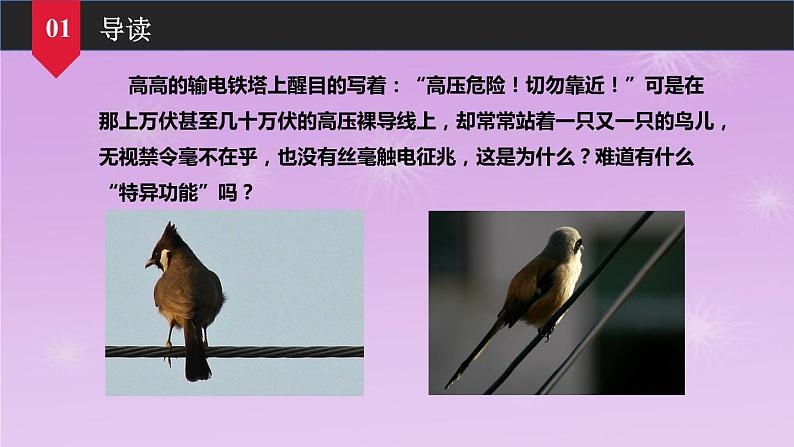 5.1欧姆定律同步课件 教科版物理九年级上册03