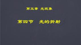 北师大版八年级上册四 光的折射教课课件ppt