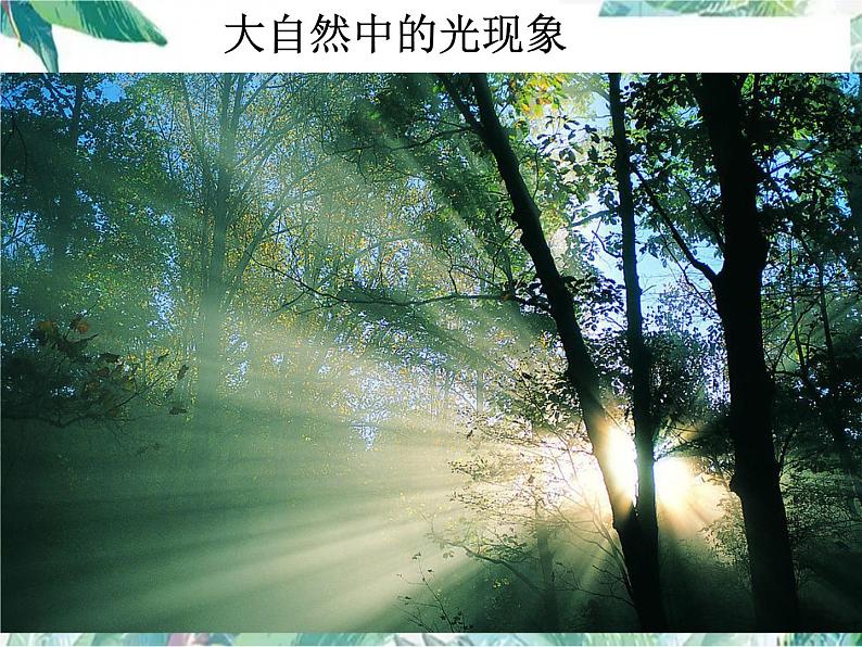 北师大版 八年级上册 光的传播 优质课件02