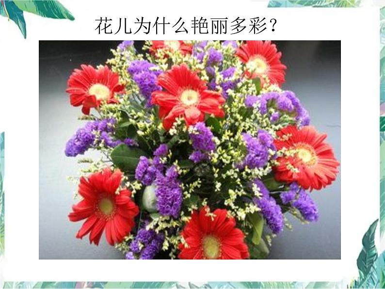 北师大版 八年级上册 物体的颜色 优质课件第3页