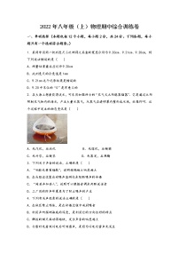 河南省义马市2022年八年级（上）物理期中综合训练卷(word版，含答案)