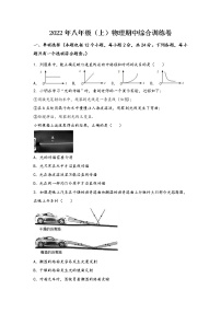 河南省鹿邑县2022年八年级（上）物理期中综合训练卷(word版，含答案)